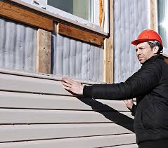 Best Historical Building Siding Restoration  in Webster, SD